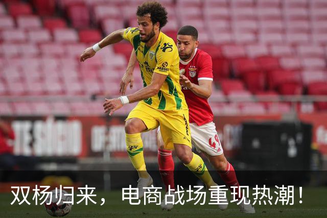 双杨归来，电商战场重现热潮！